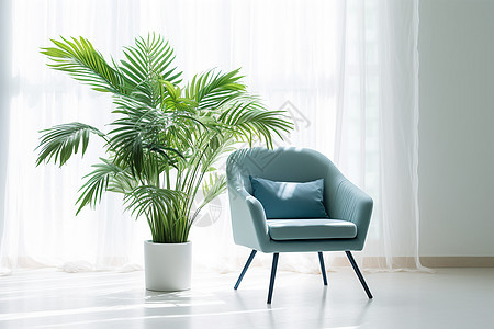 室内绿植与窗前的椅子图片