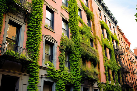 街头植物围绕的建筑物图片