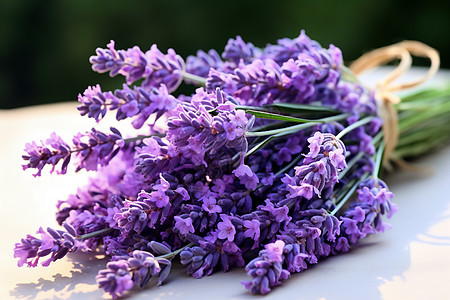 紫色薰衣草花束图片