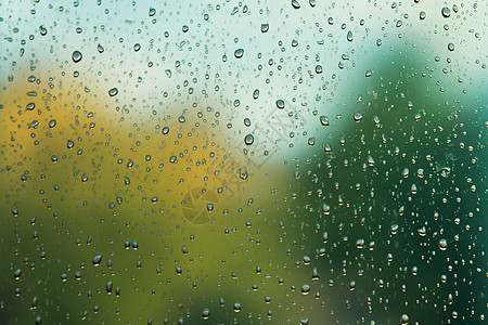 雨滴中的秋意图片