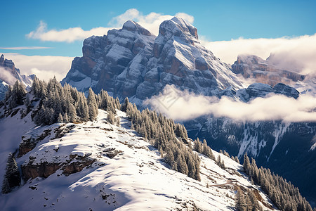 冬季雪山森林的美丽景观图片