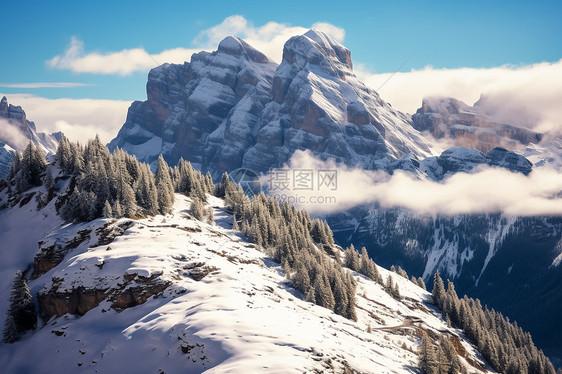 冬季雪山森林的美丽景观图片