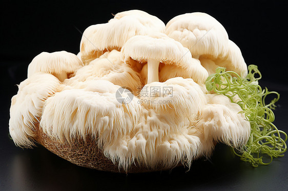 美味的秋季野生草菇图片