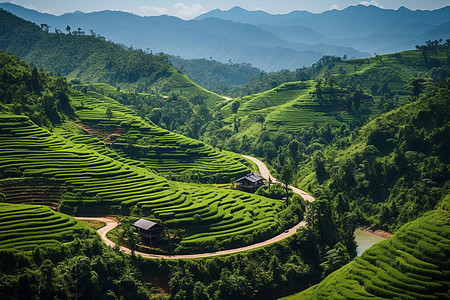 绿色梯田绿色的家园背景