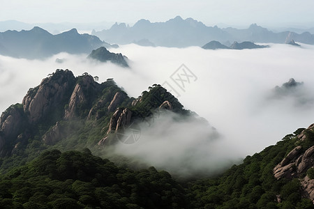 山脉风景中的浓雾图片