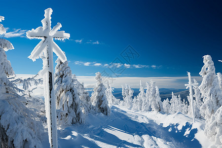 冬季雪花覆盖的山脉图片