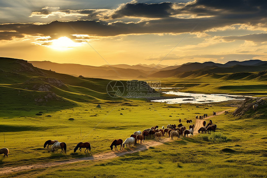 夕阳下一群马图片