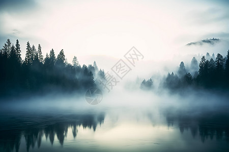 清晨森林的大雾图片