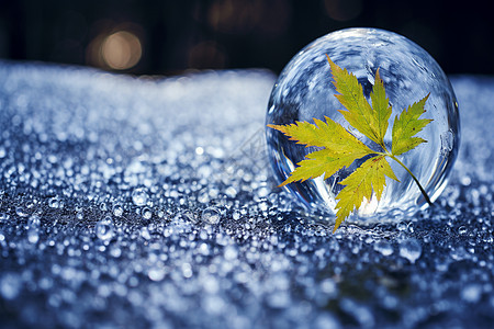 梦幻水滴与树叶冰冻地面上的泡泡背景
