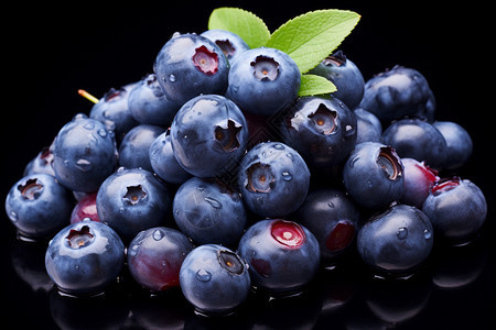 成熟的蓝莓水果图片