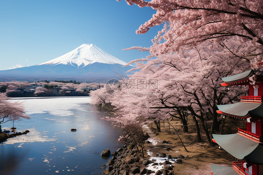 日本的富士山景观图片