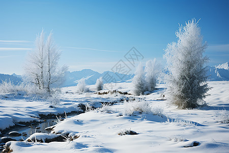 清晨的冰雪乡村图片