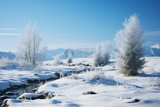 清晨的冰雪乡村图片