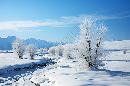 冬日白雪山林冰封图片