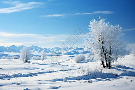 寒冬农村的冰封山岳图片