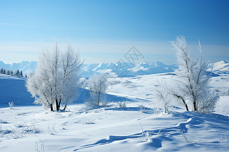 下雪景冰天雪地中的静景背景