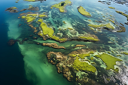 人工湖绿藻的鸟瞰图图片
