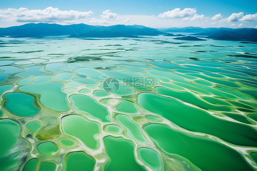 航拍绿色的海水图片