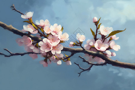 手绘艺术的樱花花朵图片
