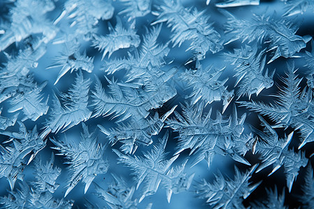 冬日的冰晶之美图片
