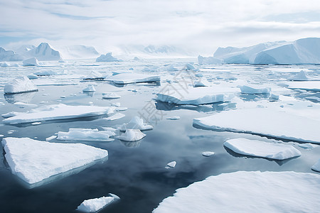 融化的冰海洋的冰山群背景