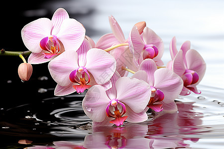 花漂浮在水面上图片