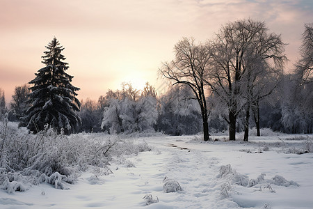 冬日黄昏公园图片