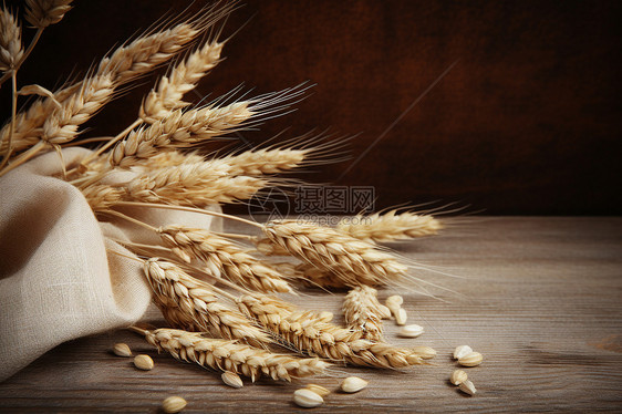 粮食丰收的麦穗图片