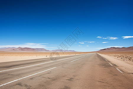 森林公路美国的沙漠公路背景