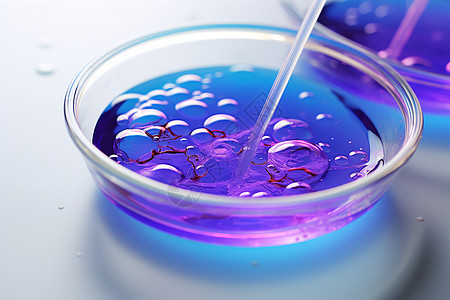 培养皿中的紫色液体图片