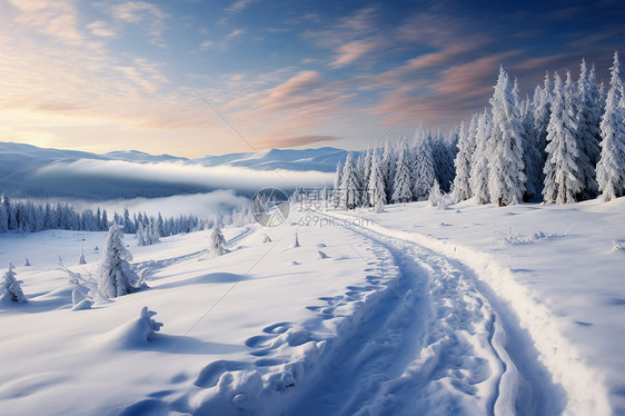 冬日雪径山中小径图片
