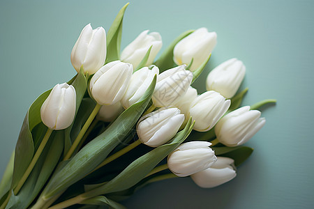 白色郁金香束放在桌面上图片