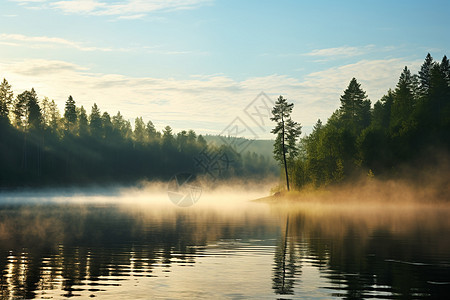 湖畔林木图片