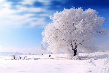山坡上的树被冰雪覆盖图片