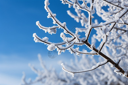 天空下的雪景图片