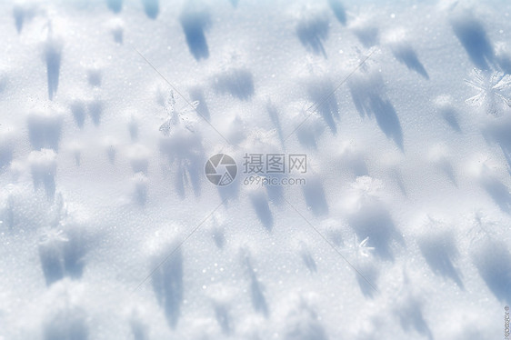 阳光下的雪地图片