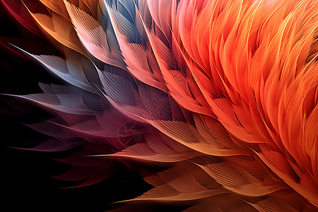 五彩斑斓的羽毛纹理图片
