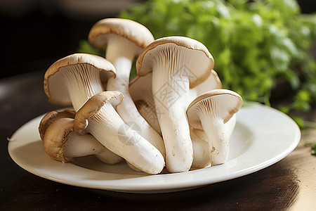 鲜美的蘑菇图片