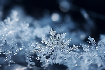 冻结的雪花背景图片