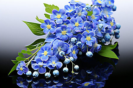 蓝色花朵倒影在水中图片