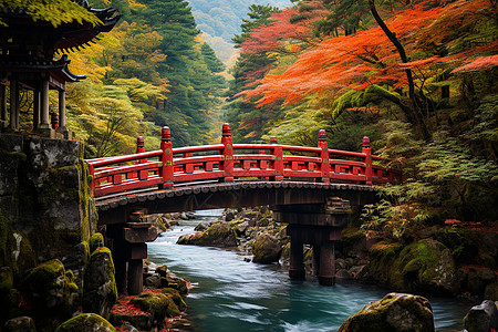 日本桥红桥林中背景