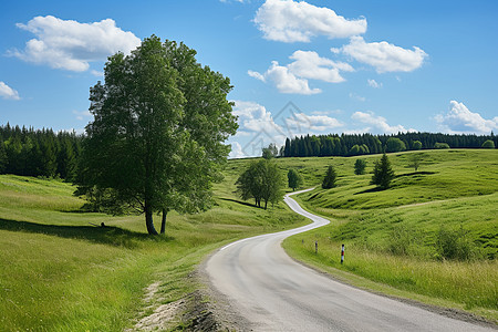 乡村的公路图片