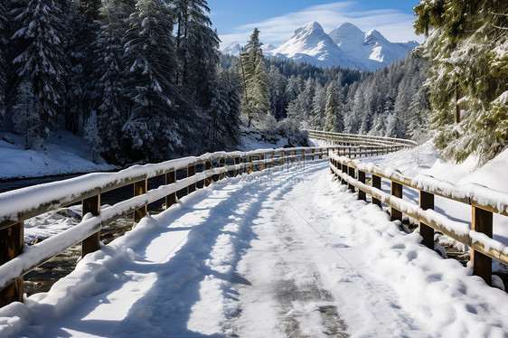 雪地冬日森林之旅图片