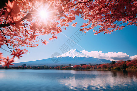 樱花下的富士山图片