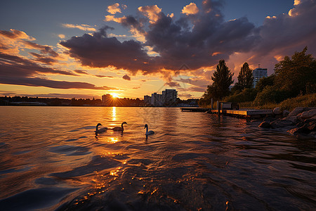 湖边栈道湖边夕阳美景背景