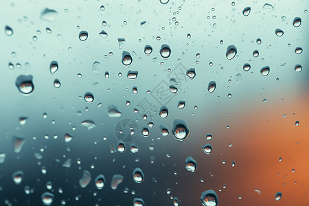 雨中的水珠图片