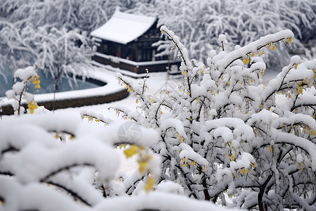 冰雪纷飞冬日花园背景