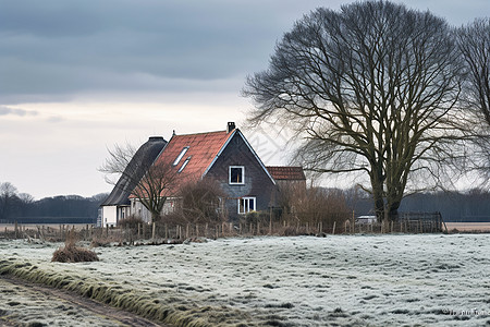 乡村田野中的房屋住宅图片
