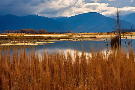 秋季美丽的湖泊湿地景观图片