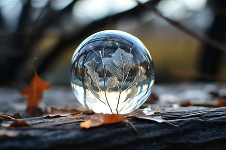 树林中水晶球的倒影高清图片